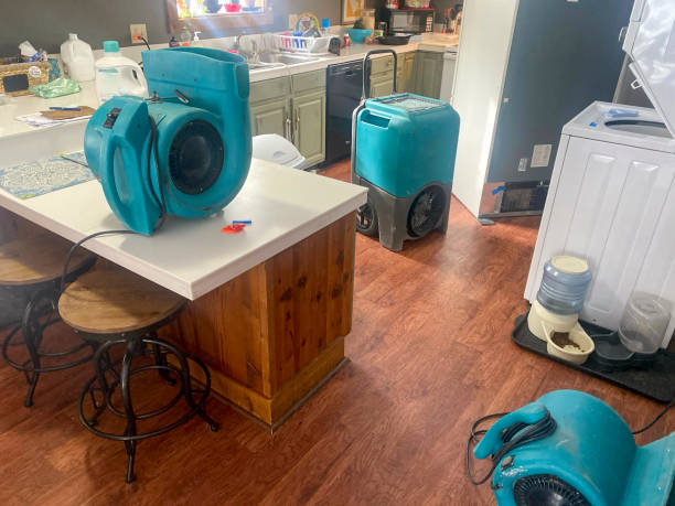 Best Water damage cleanup near me  in Villisca, IA