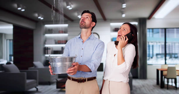 Best Flood damage cleanup  in Villisca, IA